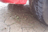 gras.gif