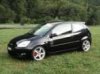Fiesta ST Seite 150PIX.JPG