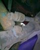 Bild00789.JPG