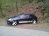 20120405_114440 Wolf Weiß V1.jpg