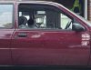 dsc03837a.jpg