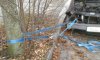 20161114_160045.jpg