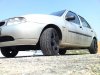 DSC01704.jpg