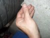 20111-sdc10560.jpg