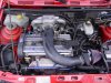 DSC05096.JPG