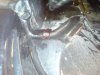 DSC02359.jpg