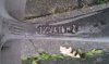 IMAG0562.jpg