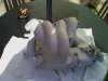 IMG_20120617_100119.jpg