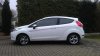 Fiesta_Ford_Y.jpg