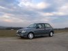 img8898ms 3.jpg