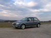img8898ms 4.jpg