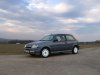 img8898ms 6.jpg