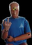 Crash-Test-Dummy