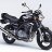 Ladyrider