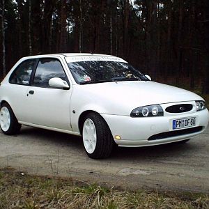 950.jpg