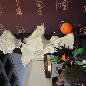 DSCF0579