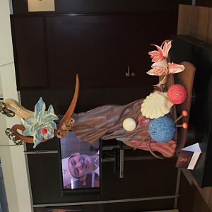 DSCF0584