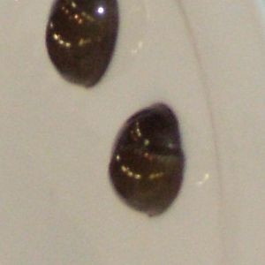 DSCF0594