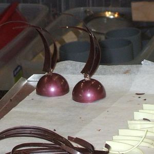 DSCF0596