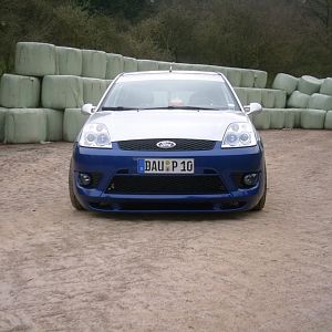 paddy 075