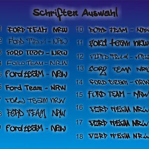 ford team nrw.