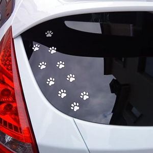 Nein, mir ist keine Katze über`s Auto gelaufen..... ;-)