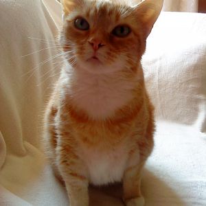 "Was guckst du??"
