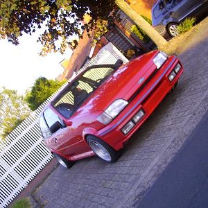 IMG 0884