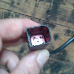 IMAG0039