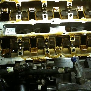 IMG 00088