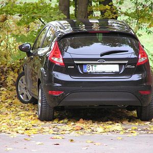 Bosch Parkpilot UDF 6 (Nachrüstsystem)
Ich habe mir die im Original unlackierten Sensoren, vom Fordhändler pantherschwarz lackieren lassen 
=>Dieses