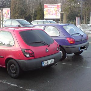 Das ist der perfekte Vergleich!!!