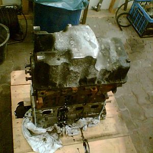 Pfuibääääh, Rotz und Schnodder