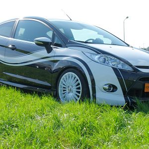 fiesta ja8 004