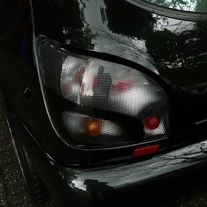 P1160561 (1280 x 1024)