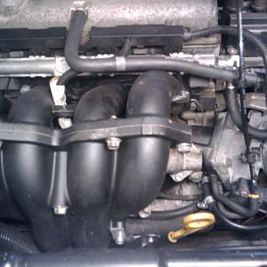 Gesamtansicht Puma Ansaugtrakt 1,7l habe den Pumakrümmer schwarz lackiert ....ist dezenter:-)