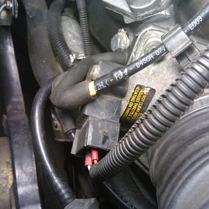 Drosselklappen Poti (Kabelschuhe seperat isoliert)
Der leere Stecker oben links ist für die Lufttemperatur habe ihn nicht angeschlossen da der Sport