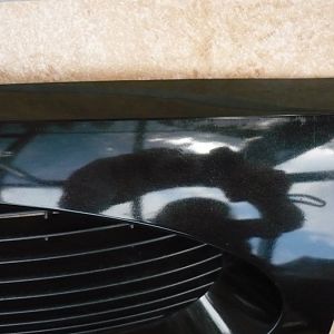 P1060149 (1280 x 1024)