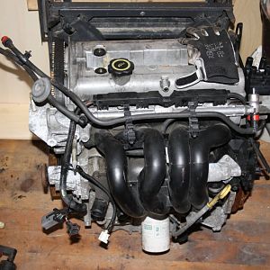 IMG 0617
