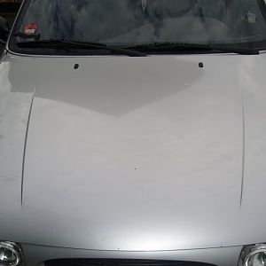 FoFi