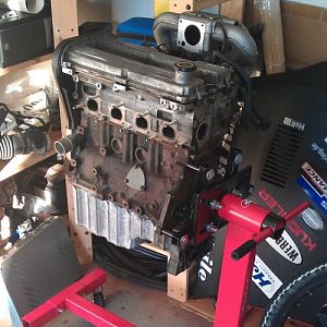 Motor