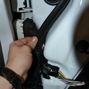 Türdichtung vorsichtig aus den Haken ziehen