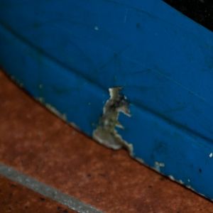 DSC0335
