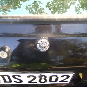 BILD0816