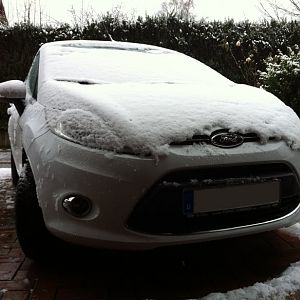Mein Fofi im Winter :)