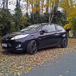 Fiesta neu1 (1600 x 1200)