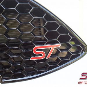 10 Ford Fiesta ST front logojpg