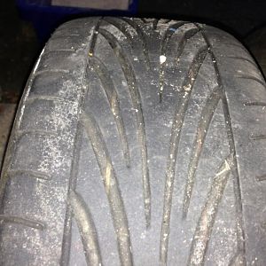 IMG 0559