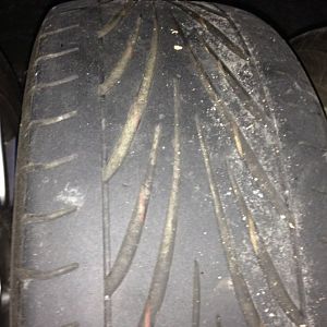 IMG 0561