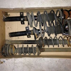 IMG 0558